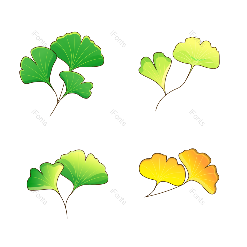 植物图片,秋叶元素,PNG,免抠素材